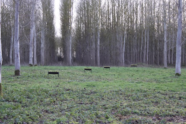 image06.jpg